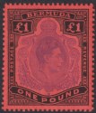 Click for more photos and details Bermuda 1952 KGVI £1 Violet and Black on Scarlet p13 Mint SG121d