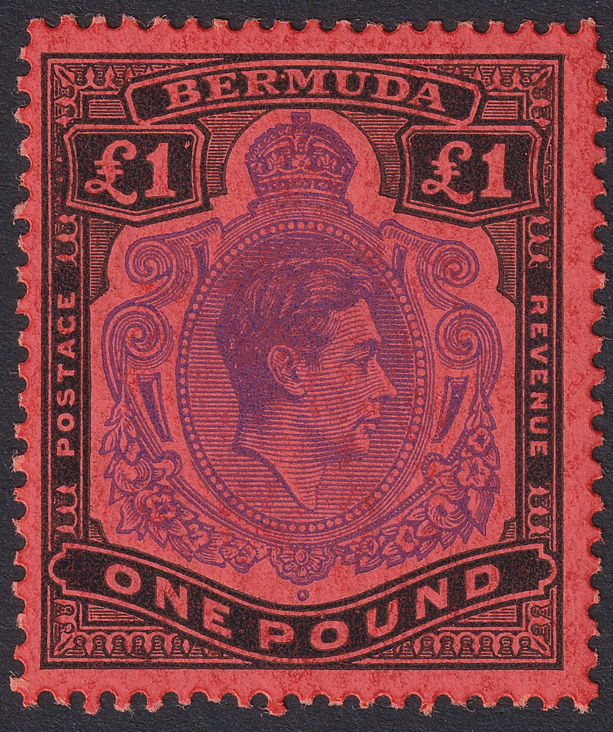 Bermuda 1952 KGVI £1 Bright Violet and Black on Scarlet p13 Mint SG121e