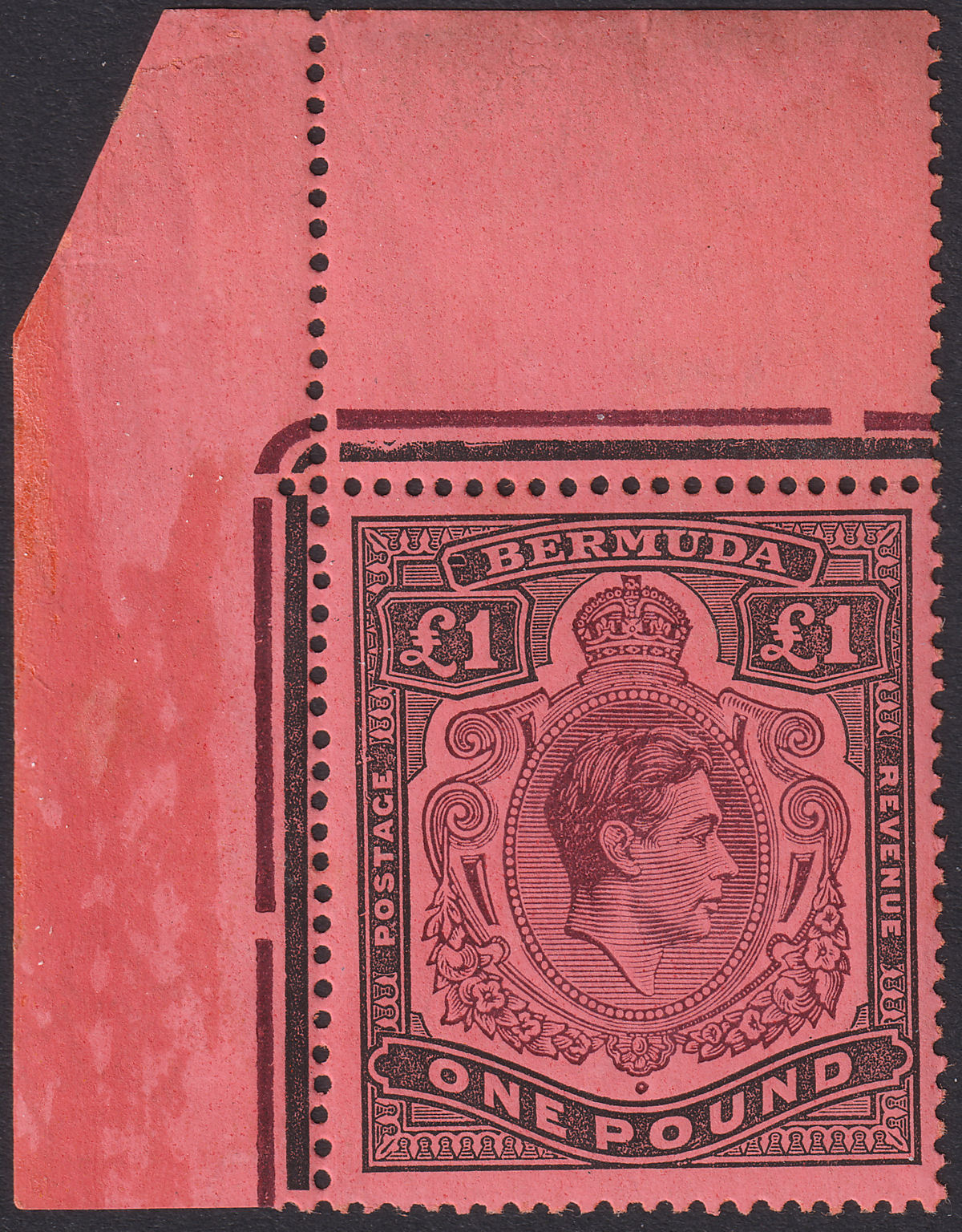 Bermuda 1941 KGVI £1 Purple + Dull Black on Salmon p14 Frame Flaw 1A Mint SG121b