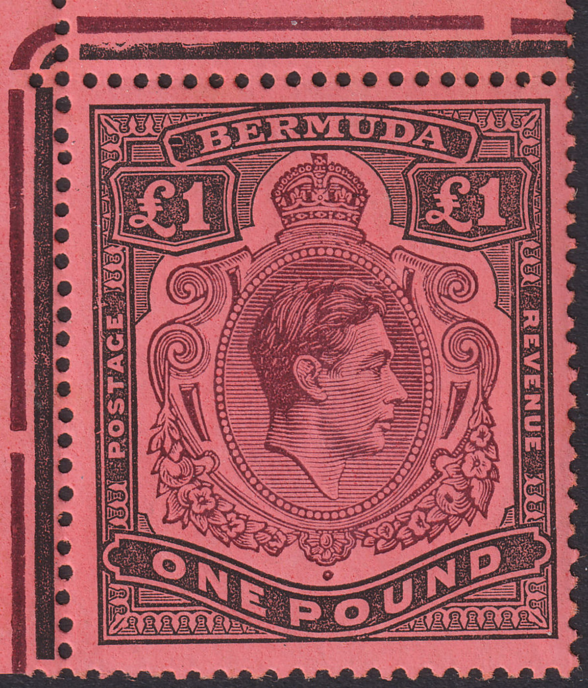Bermuda 1941 KGVI £1 Purple + Dull Black on Salmon p14 Frame Flaw 1A Mint SG121b