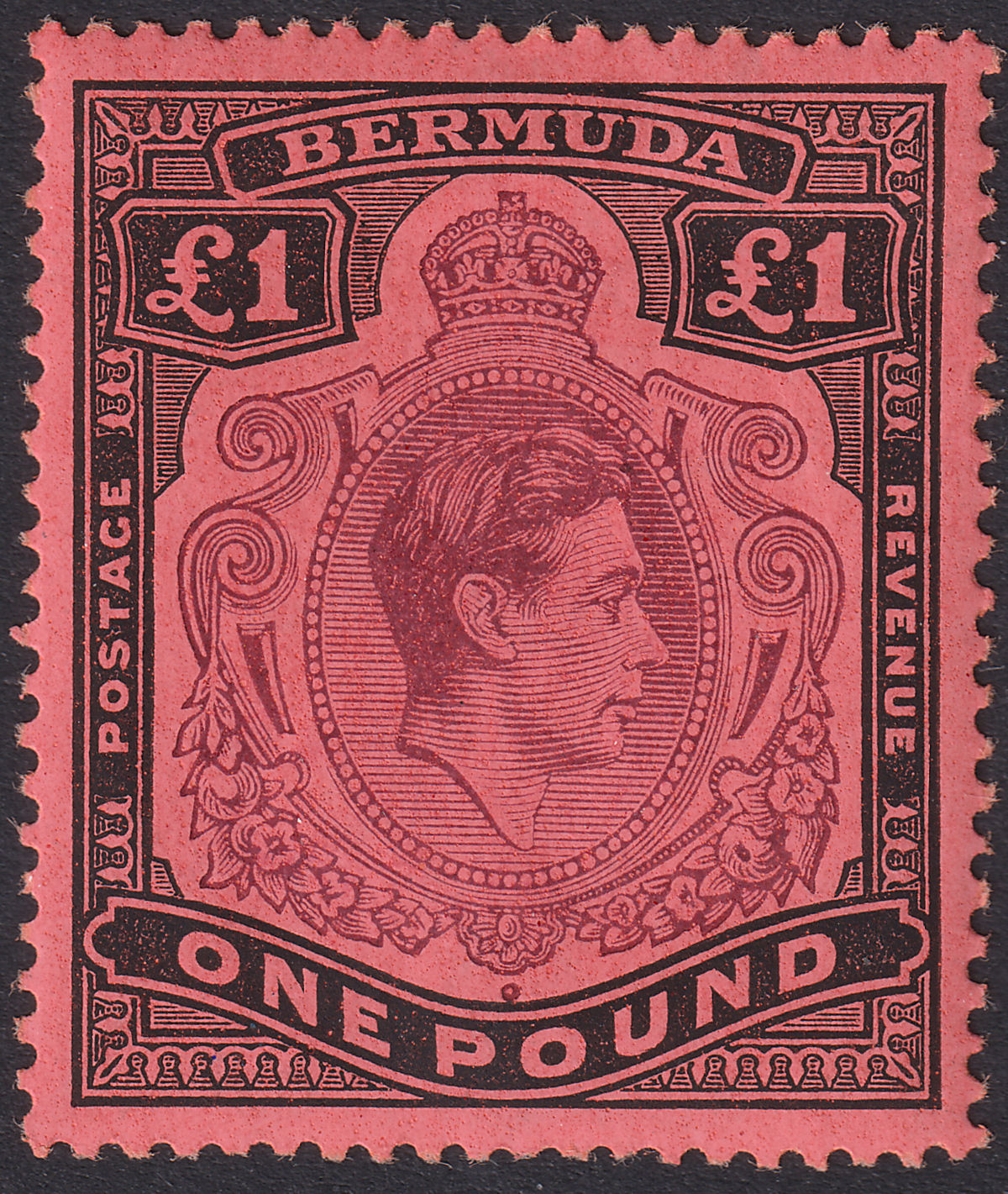 Bermuda 1943 KGVI £1 Purple and Black on Salmon p14 Mint SG121c cat £60
