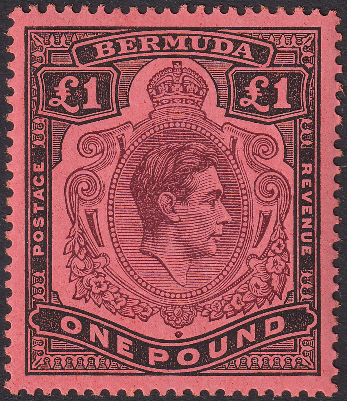 Bermuda 1941 KGVI £1 Purple + Dull Black on Salmon p14 UM Mint SG121b cat £70