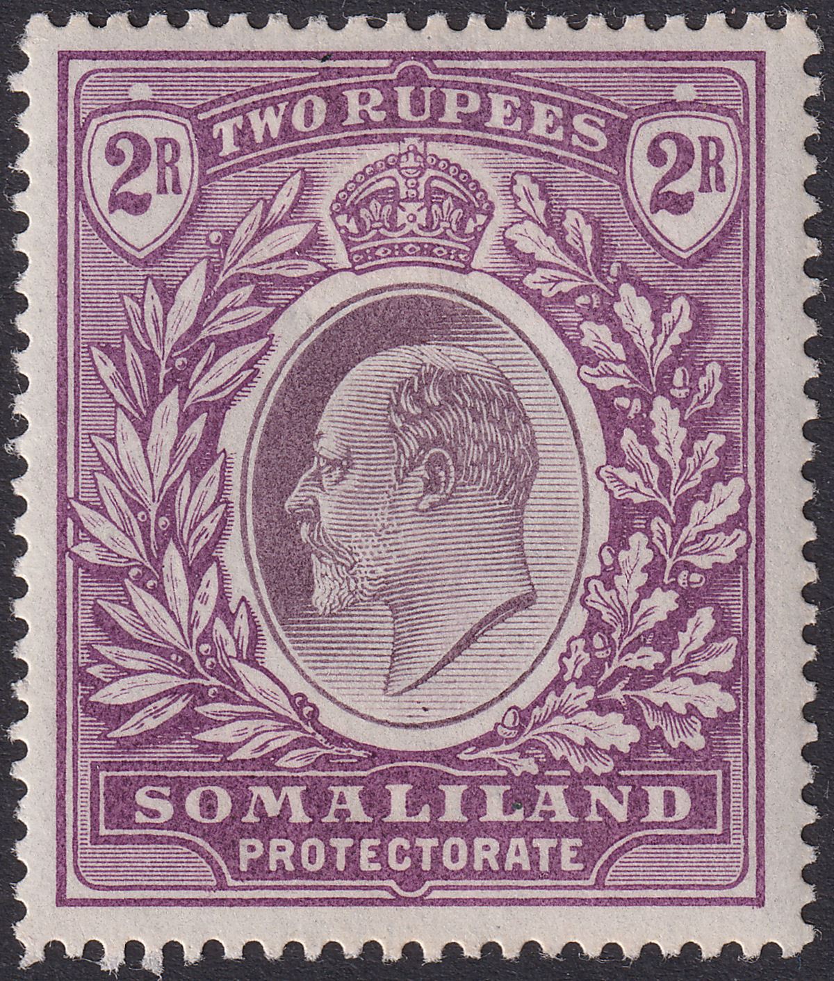 Somaliland Protectorate 1904 KEVII 2r Dull and Bright Purple Mint SG42 cat £65
