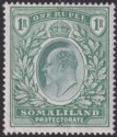 Click for more photos and details Somaliland Protectorate 1904 KEVII 1r Green Mint SG41 cat £28 with TEAR
