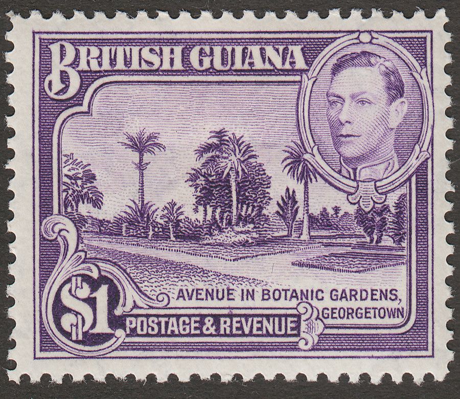 British Guiana 1938 KGVI $1 Bright Violet perf 12½ Mint SG317