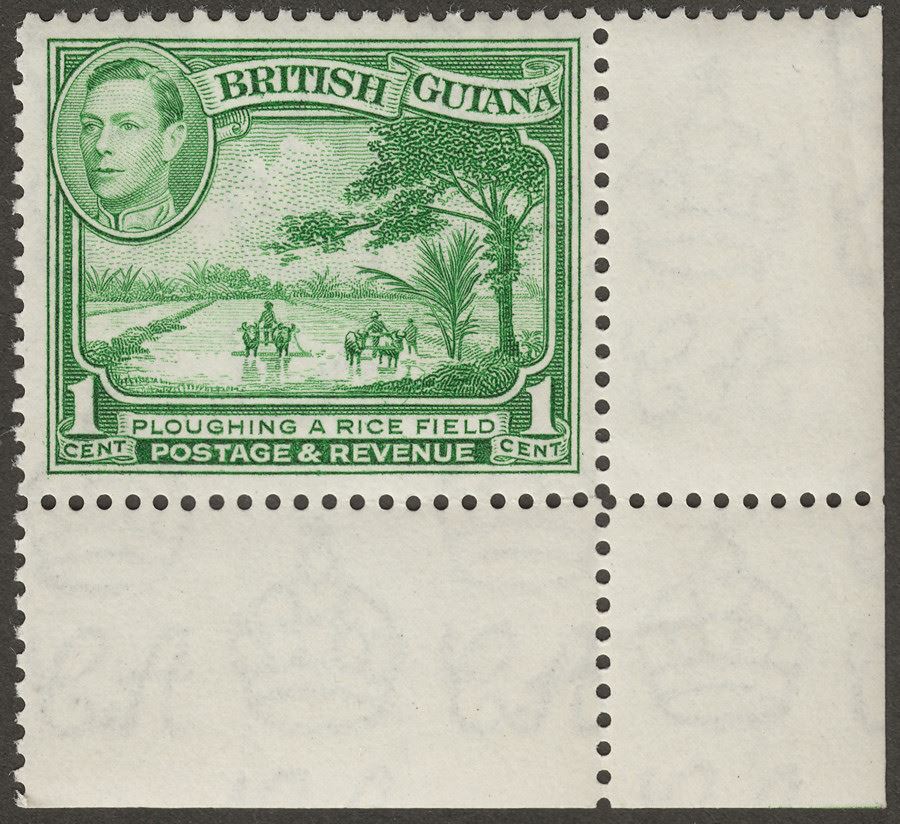 British Guiana 1938 KGVI 1c Yellow-Green Mint SG308