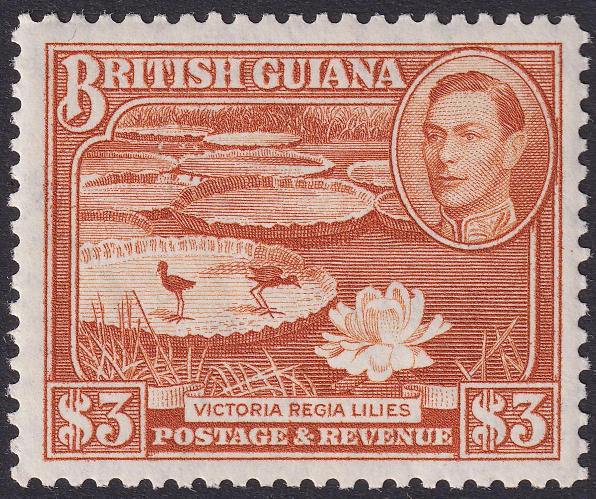 British Guiana 1945 KGVI $3 Red-Brown perf 12½ Mint SG319 cat £40