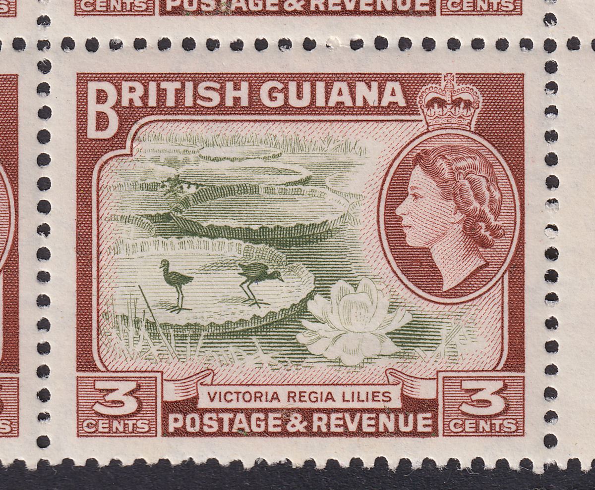 British Guiana 1954 QEII 3c Block of 6 with Weed Flaw Mint SG333a cat £70 tones