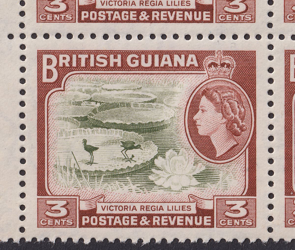 British Guiana 1954 QEII 3c Block 8 Clubbed Foot Variety Mint SG333b c£70 tones