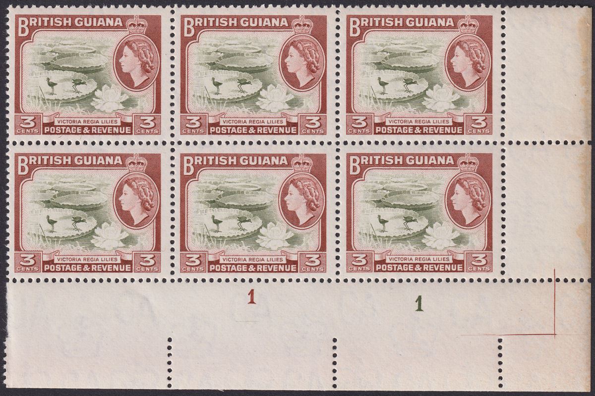 British Guiana 1965 QEII 3c Plate 1-1 Corner Block of 6 Mint SG354 cat £54