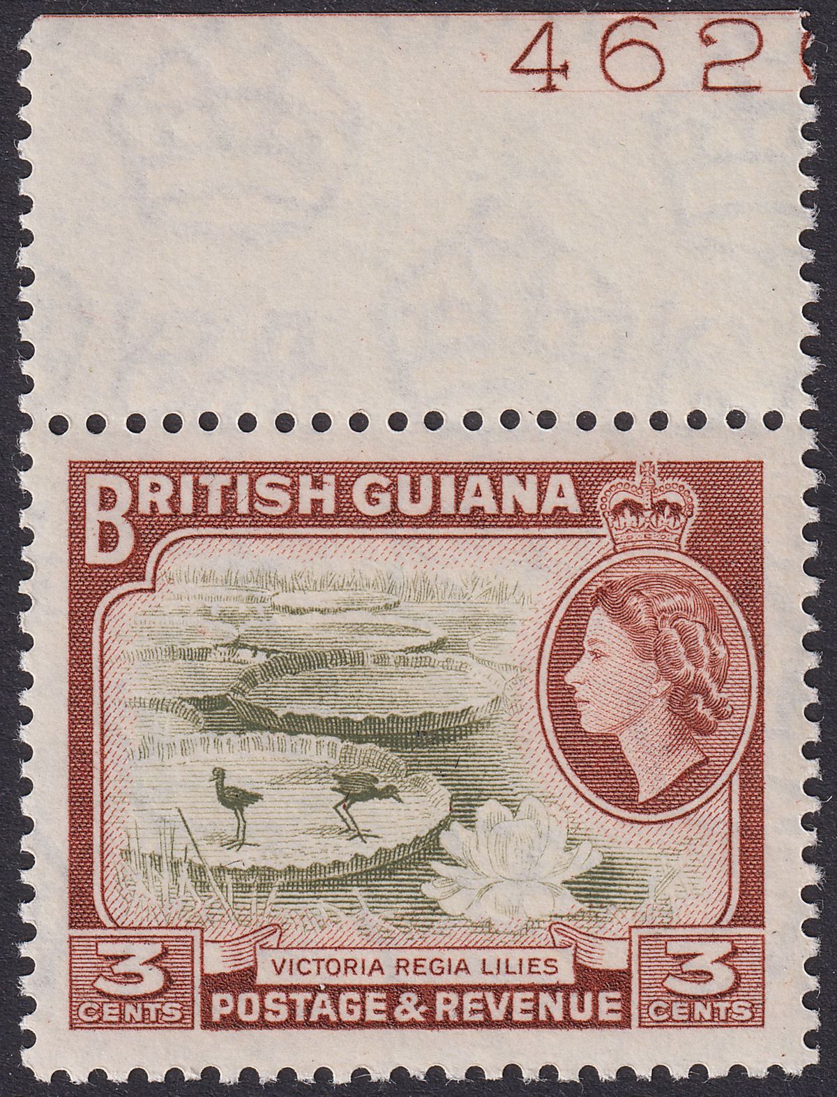 British Guiana 1954 QEII 3c Printers Plate Number 46261? Mint SG333