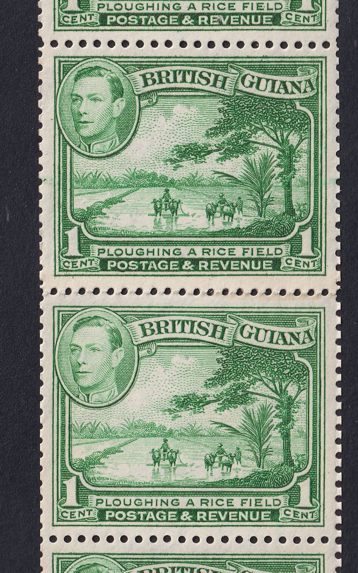 British Guiana 1938 KGVI 1c Yellow-Green Coil Strip of 6 with Join Mint SG308