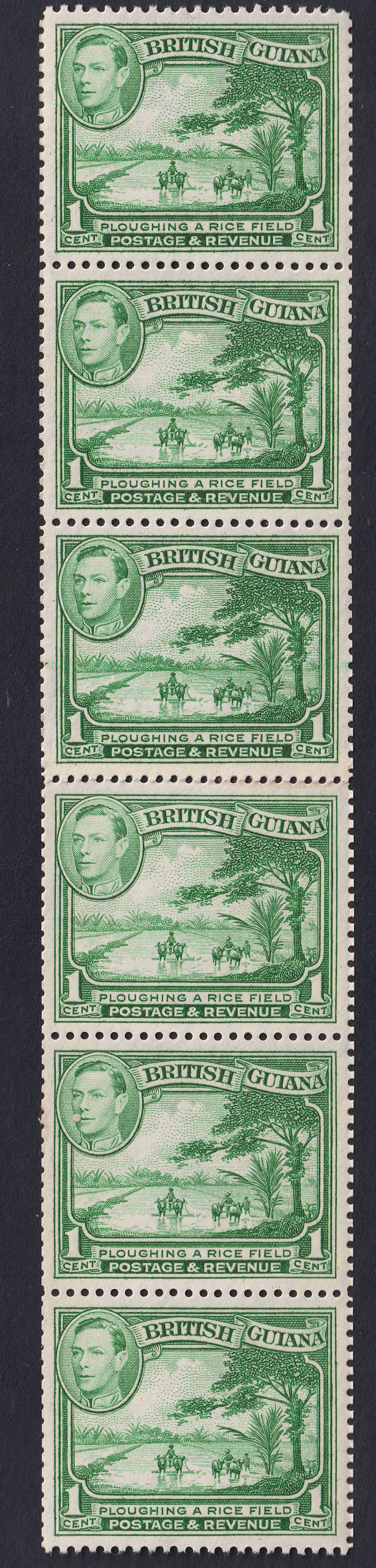 British Guiana 1938 KGVI 1c Yellow-Green Coil Strip of 6 with Join Mint SG308