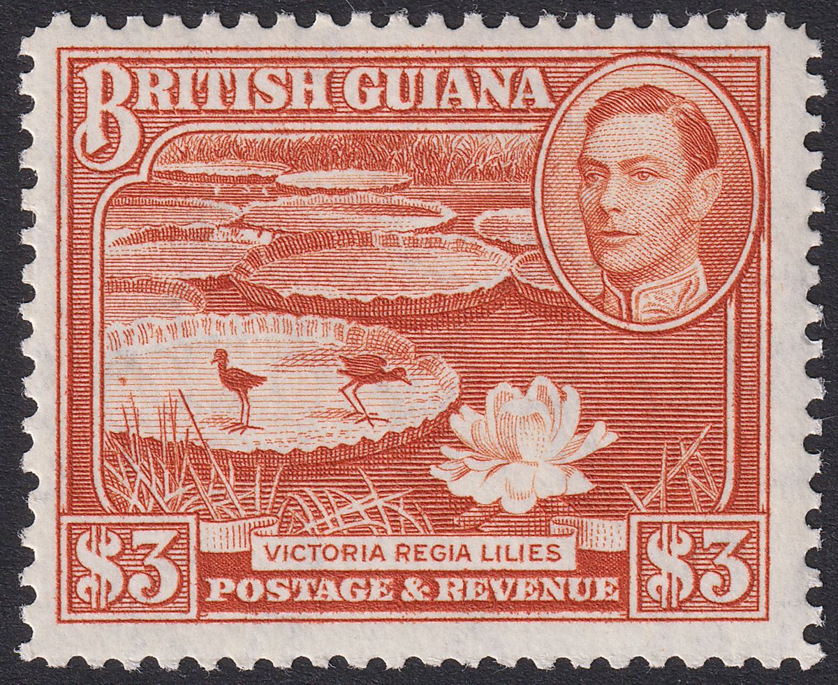 British Guiana 1946 KGVI $3 Bright Red-Brown perf 12½ Mint SG319a