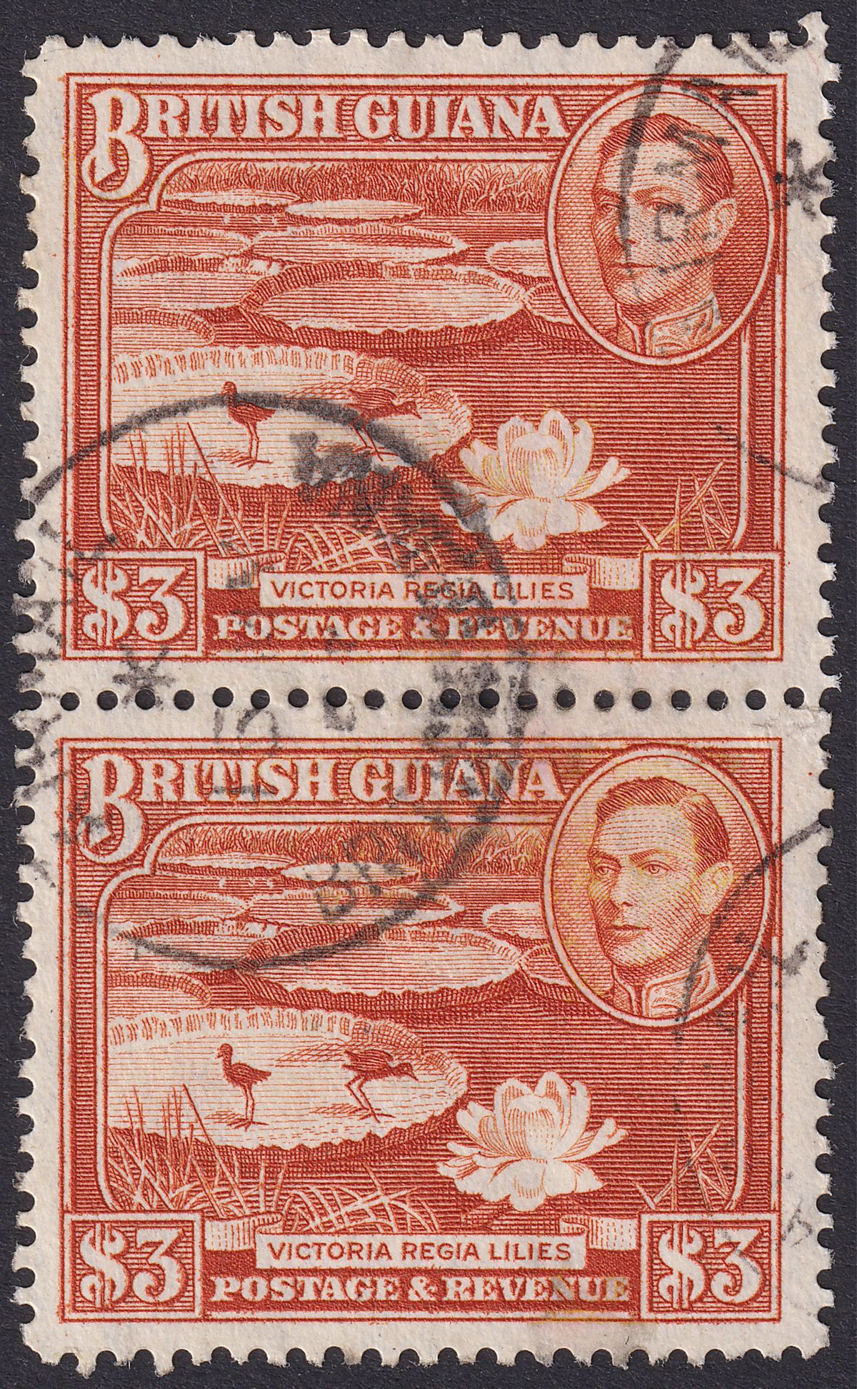 British Guiana 1946 KGVI $3 Bright Red-Brown perf 12½ Pair Used SG319a cat £84