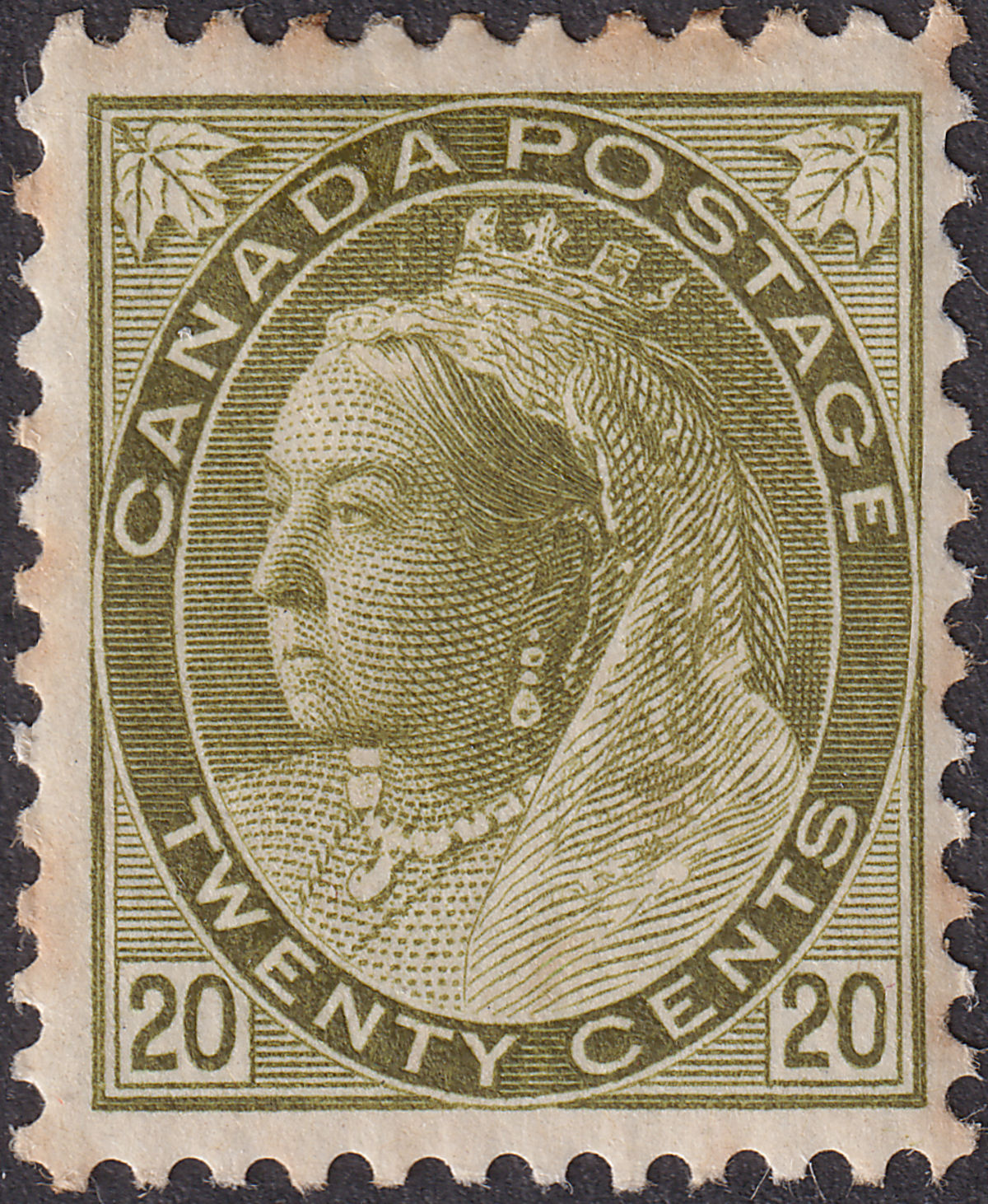 Canada 1900 Queen Victoria 20c Olive-Green Mint SG165 cat £325 TONES