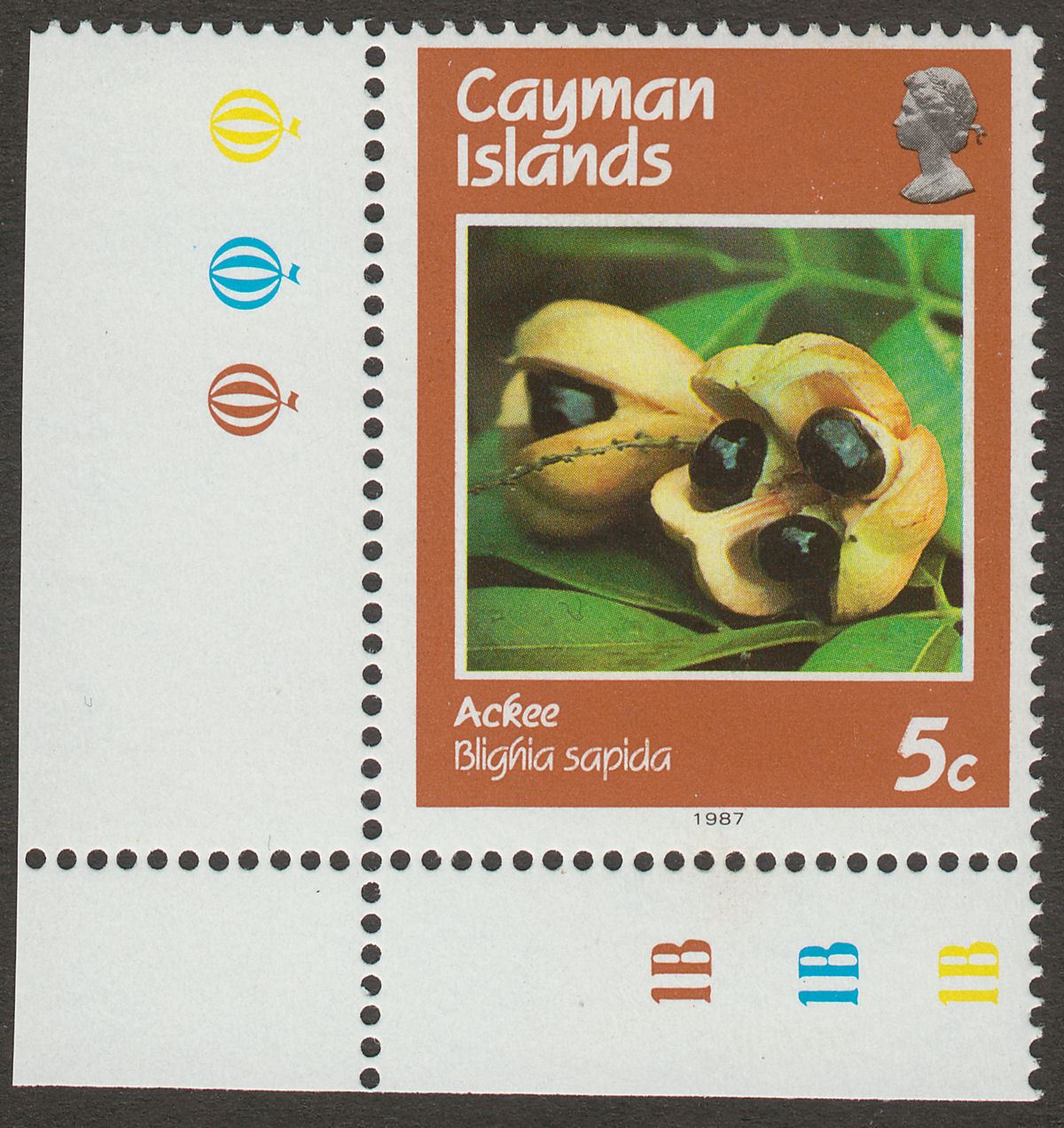 Cayman Islands 1987 QEII Fruits 5c watermark Inverted Mint SG652w