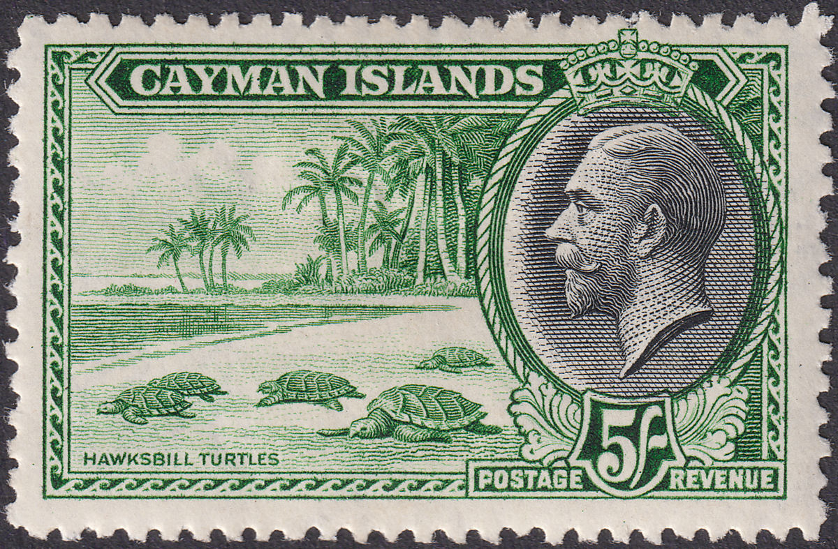 Cayman Islands 1935 KGV 5sh Green and Black Mint SG106 cat £75