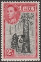 Ceylon 1938 KGVI 2c Black and Carmine perf 11½x13 Mint SG386