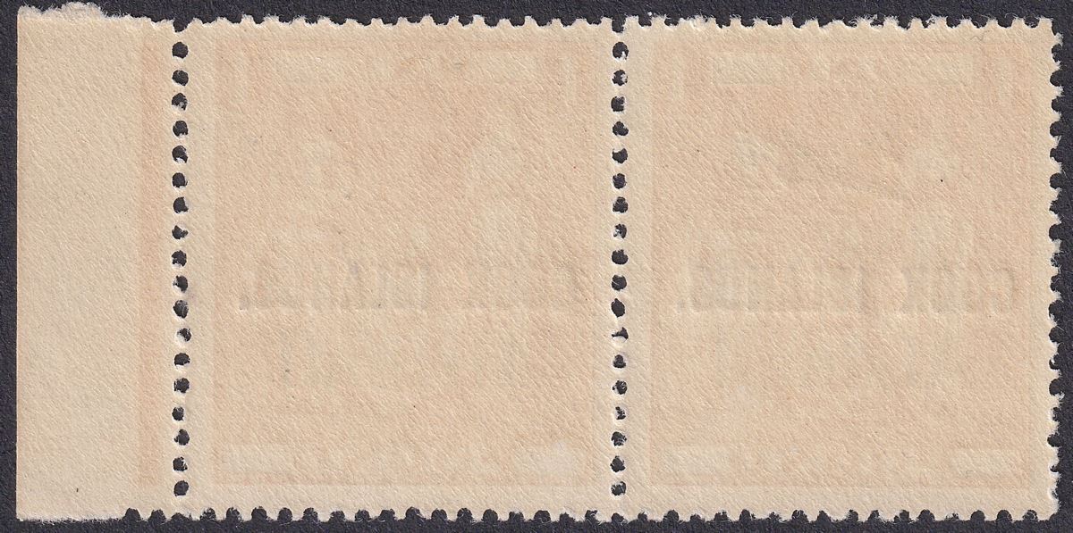 Cook Islands 1966 QEII Airmail £1 Opt Pair w Aeroplane Omitted Mint SG193a c £60