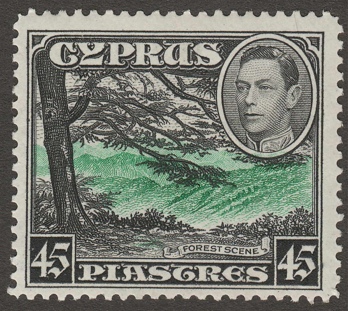 Cyprus 1938 KGVI Forest Scene 45pi Green and Black Mint SG161