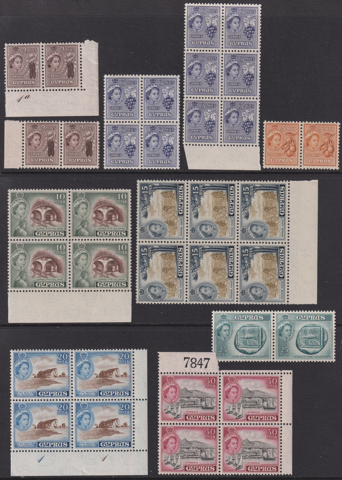 Cyprus 1955 Queen Elizabeth II Part Set to 40m Blocks/Pairs Mint