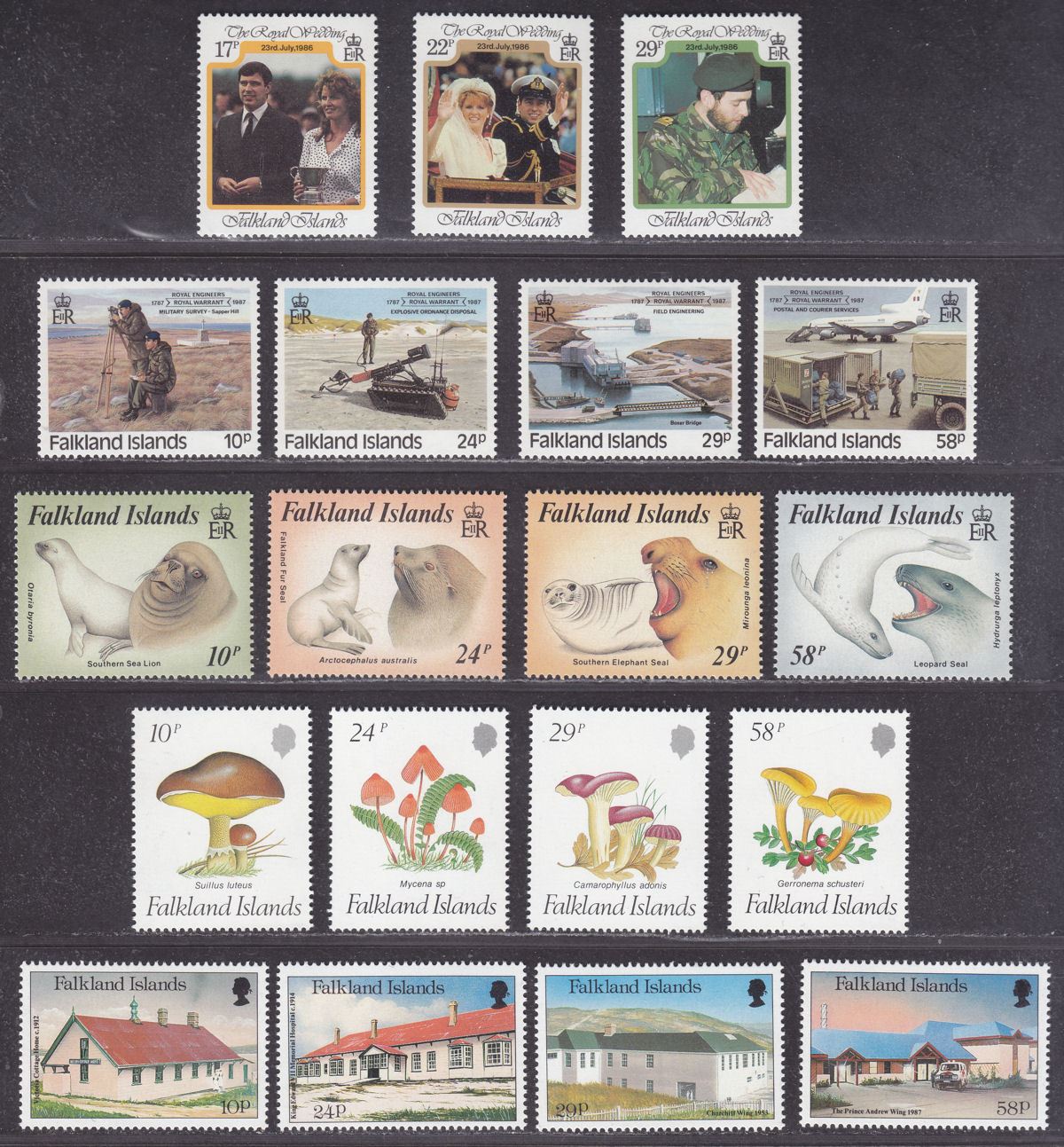 Falkland Islands 1986-87 QEII Selection Mint Seashells, Penguins, Seals, Fungi