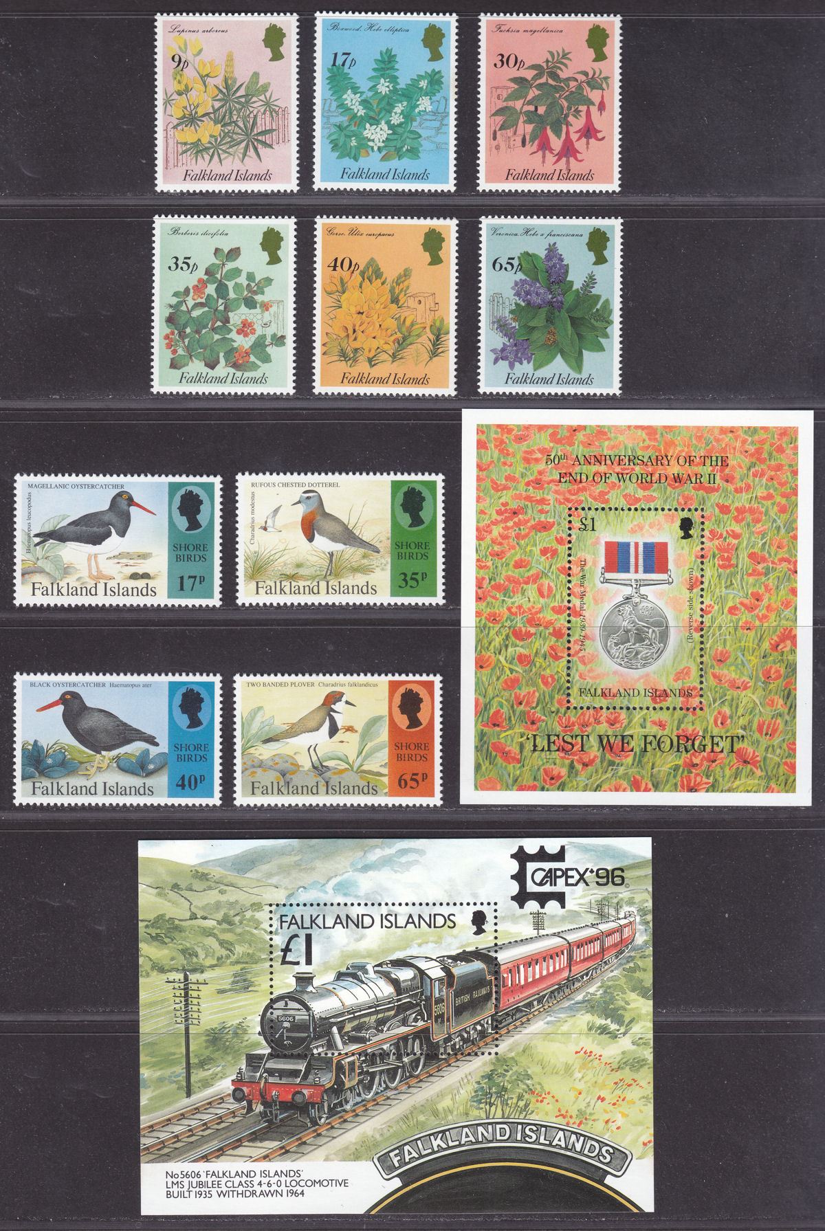 Falkland Islands 1995-96 QEII Selection Mint inc Shrubs, Shore Birds