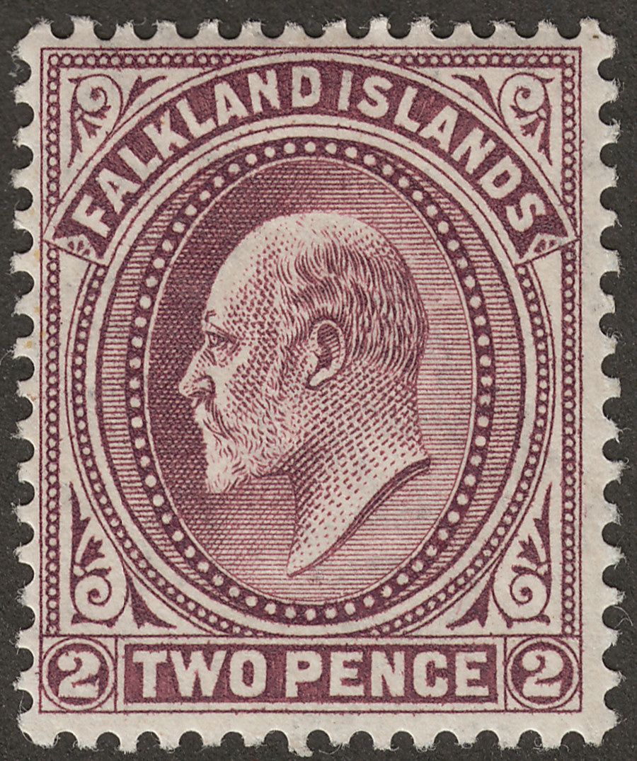 Falkland Islands 1904 KEVII 2d Purple Mint SG45