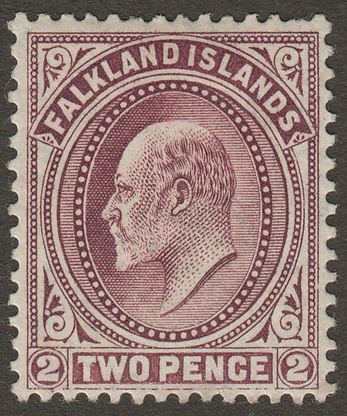 Falkland Islands 1904 KEVII 2d Purple Mint SG45 cat £25