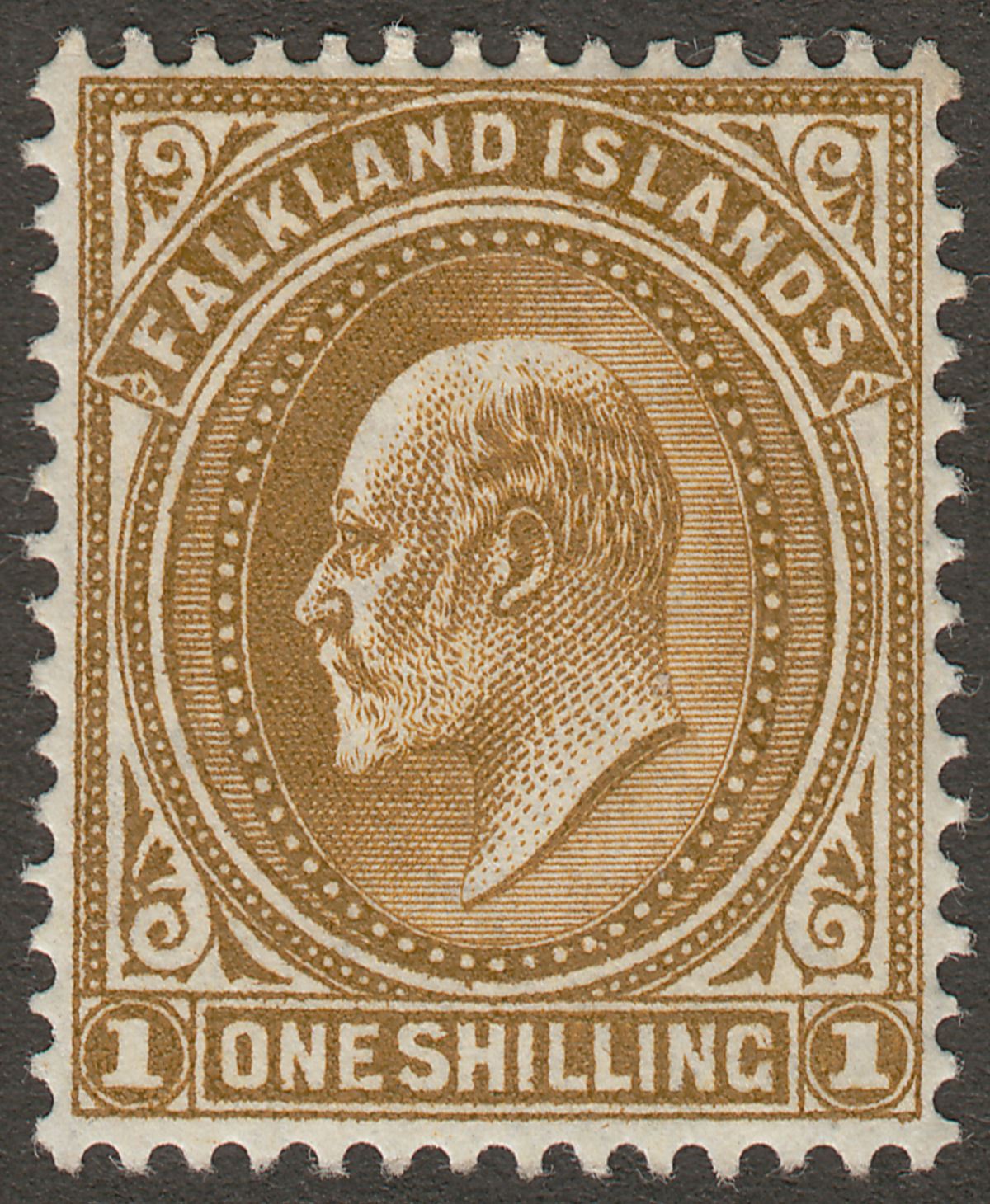 Falkland Islands 1904 KEVII 1sh Brown Mint SG48 cat £45