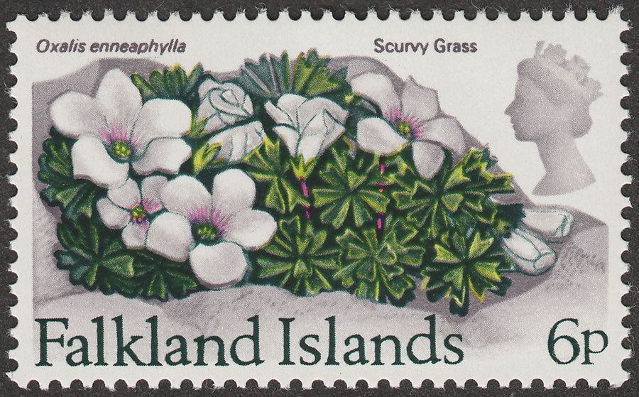 Falkland Islands 1972 QEII Flowers 6p wmk Upright Mint SG284