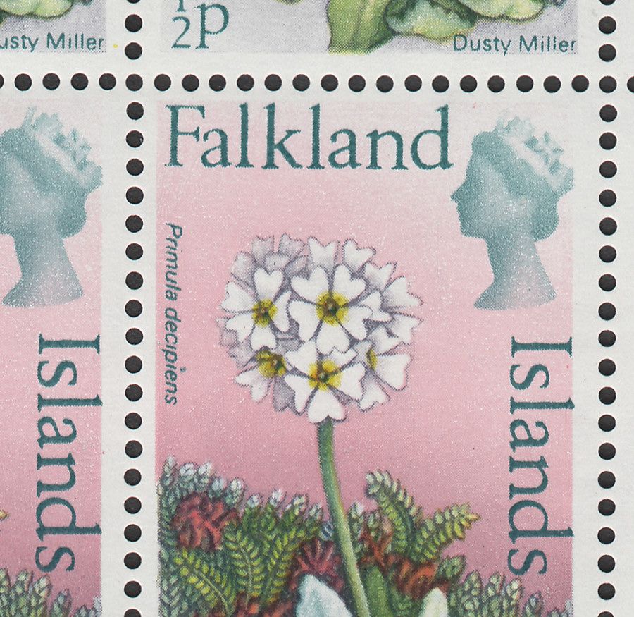 Falkland Islands 1974 QEII wmk Upright ½p Block Variety Dot Above I Mint SG293v