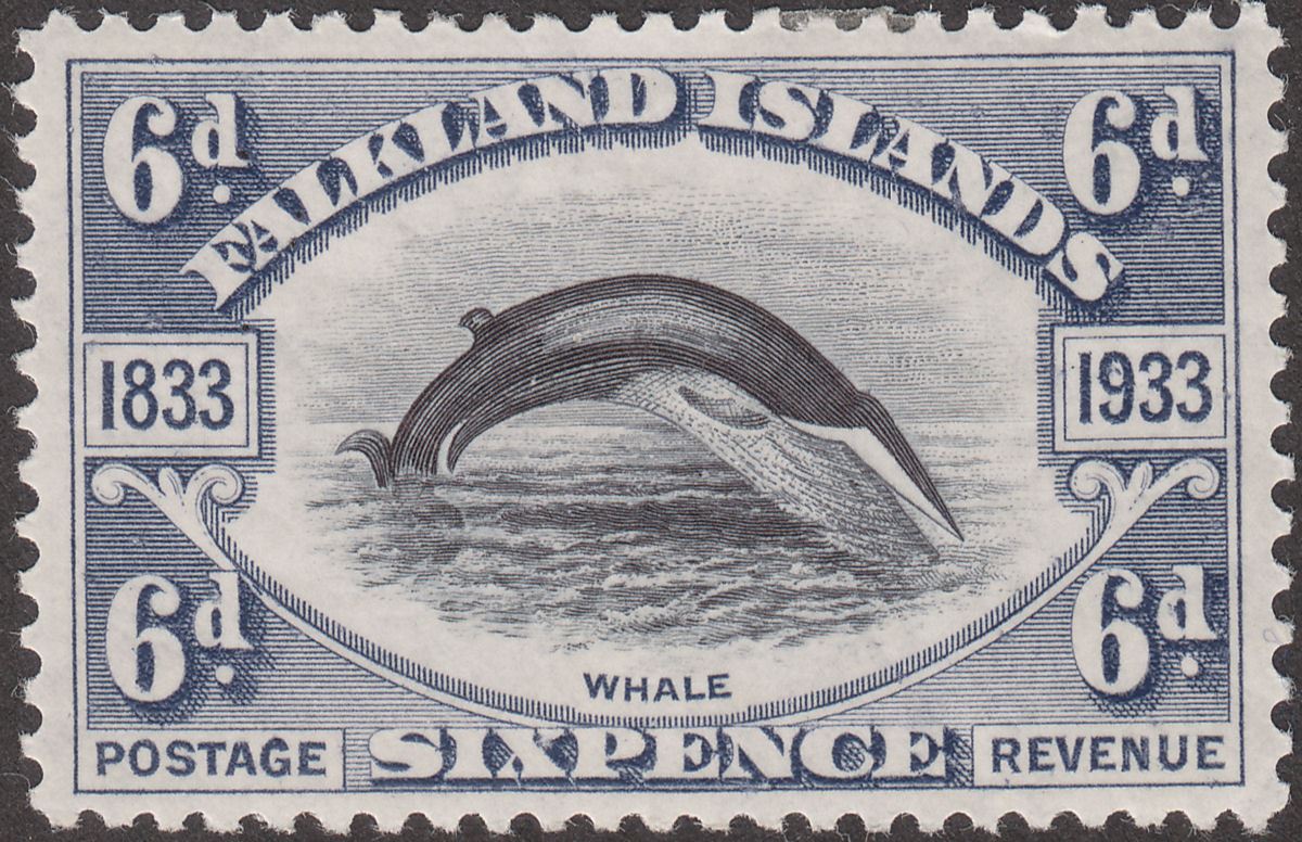 Falkland Islands 1933 KGV Centenary Fin Whale 6d Black + Slate Mint SG133 cat£80