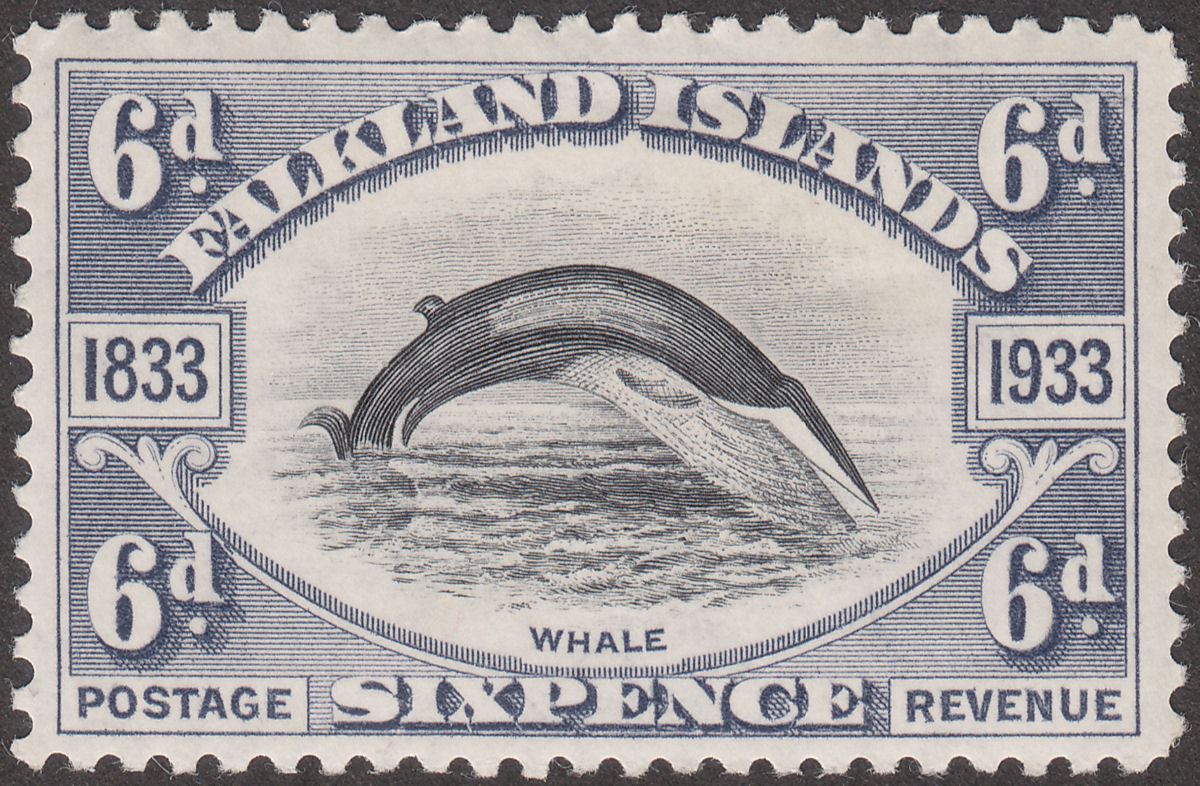 Falkland Islands 1933 KGV Centenary Fin Whale 6d Black + Slate Mint SG133 cat£80