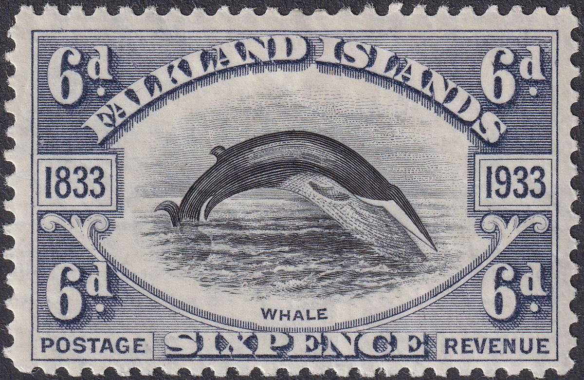 Falkland Islands 1933 KGV Centenary Fin Whale 6d Black + Slate Mint SG133 cat£80