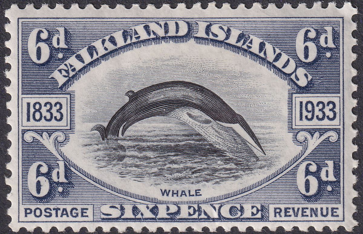 Falkland Islands 1933 KGV Centenary Fin Whale 6d Black + Slate Mint SG133 cat£80