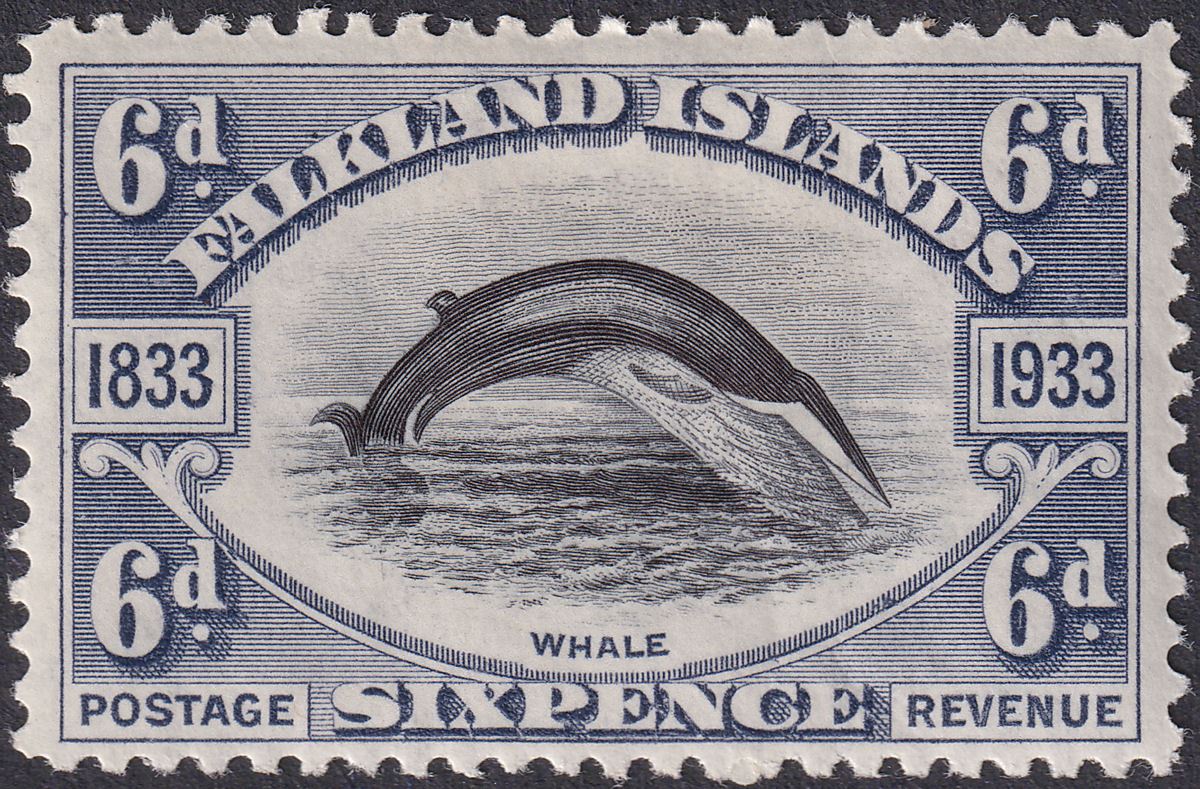 Falkland Islands 1933 KGV Centenary Fin Whale 6d Black + Slate Mint SG133 cat£80