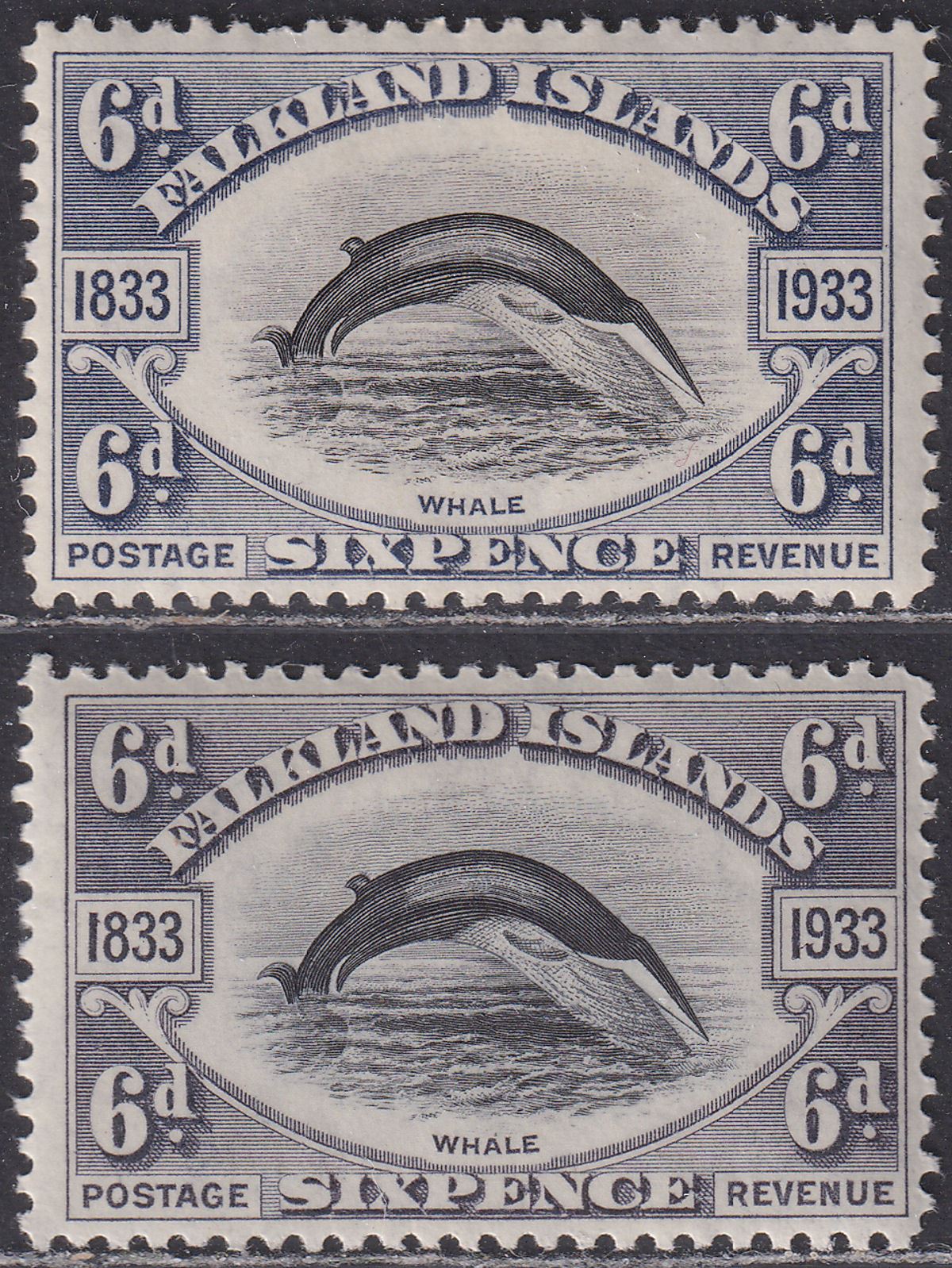 Falkland Islands 1933 KGV Centenary Fin Whale 6d Both Shades Mint SG133 cat £160