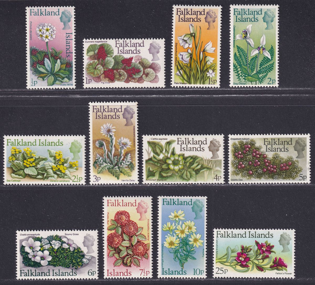 Falkland Islands 1972 QEII Flowers Decimal Part Set to 25p Mint