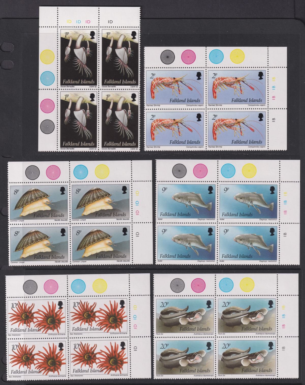 Falkland Islands 1994 QEII Marine Life Plate Block Set Mint SG701-712 cat £200