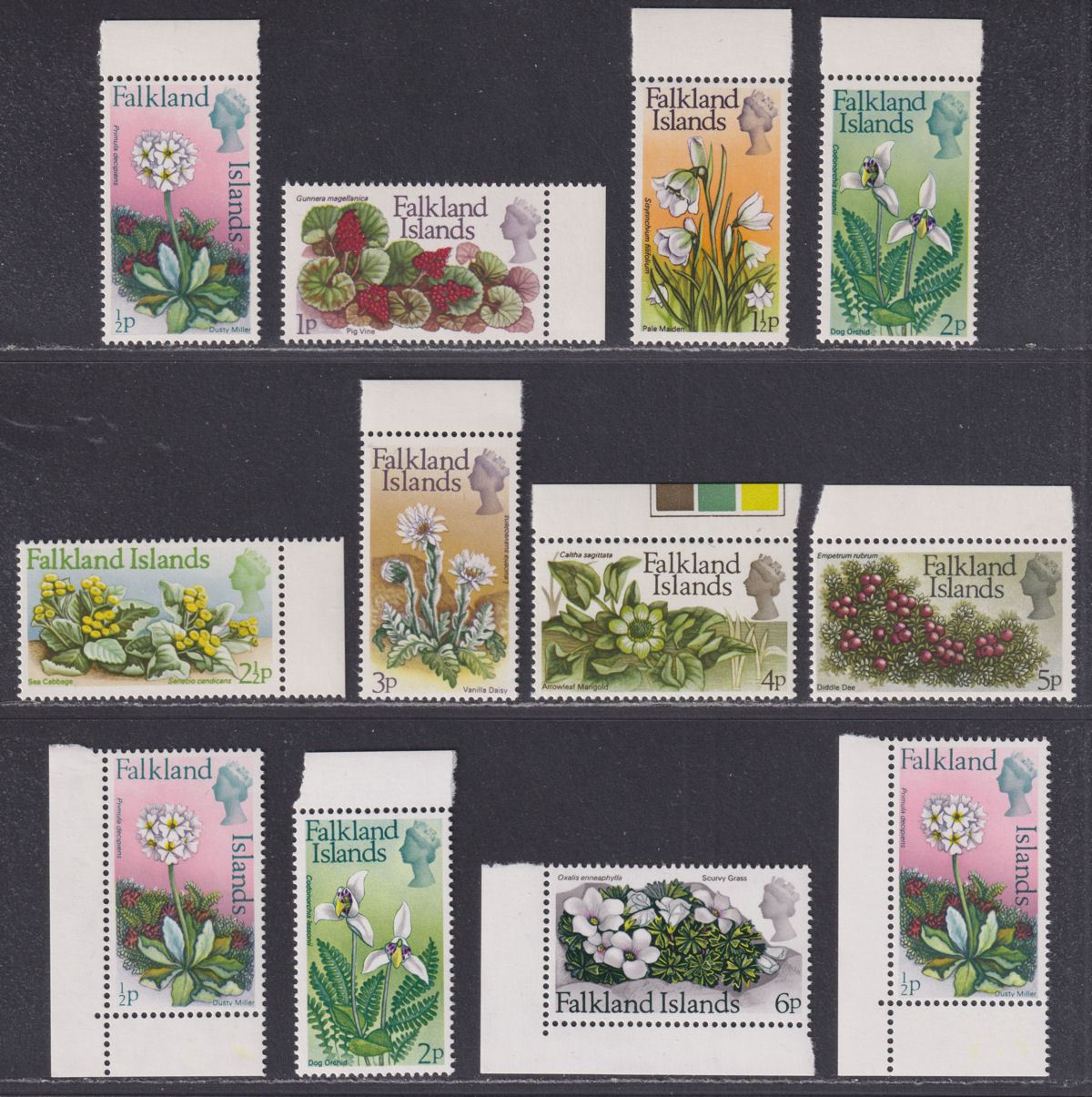 Falkland Islands 1972-75 QEII Flowers Decimal Selection Mint mixed wmks