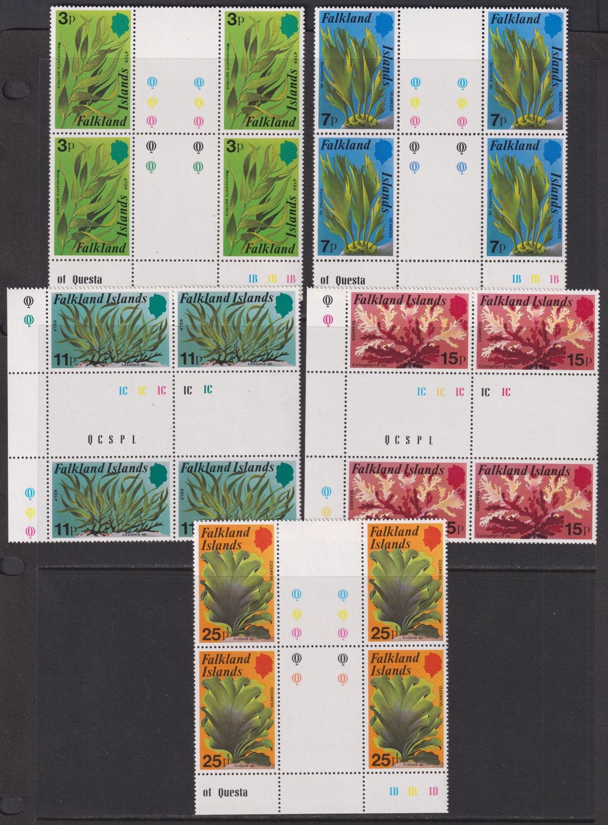 Falkland Islands 1979 QEII Kelp and Seaweed Pl Gutter Blocks Set Mint SG355-359