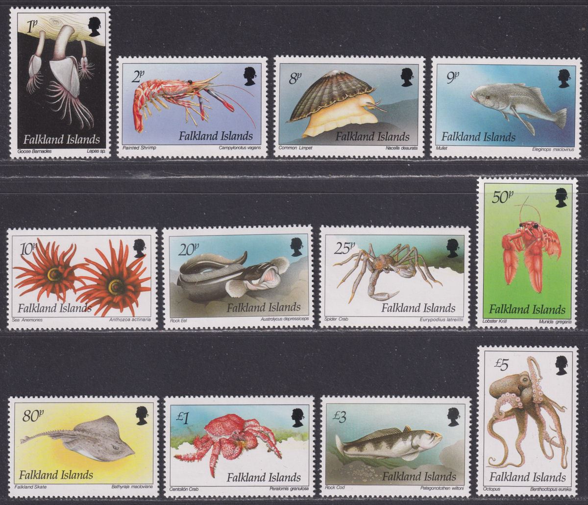 Falkland Islands 1994 QEII Marine Life Set Mint SG701-712 cat £50