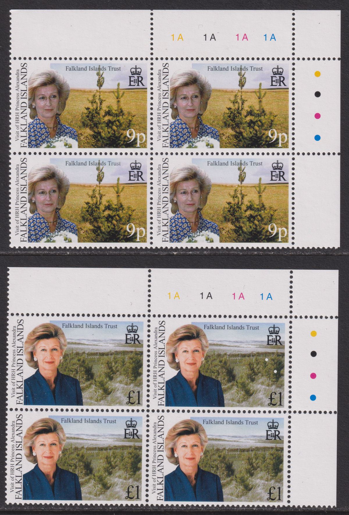 Falkland Islands 2000 QEII Princess Alexandra 9p, £1 Plate Blocks Mint SG865-866