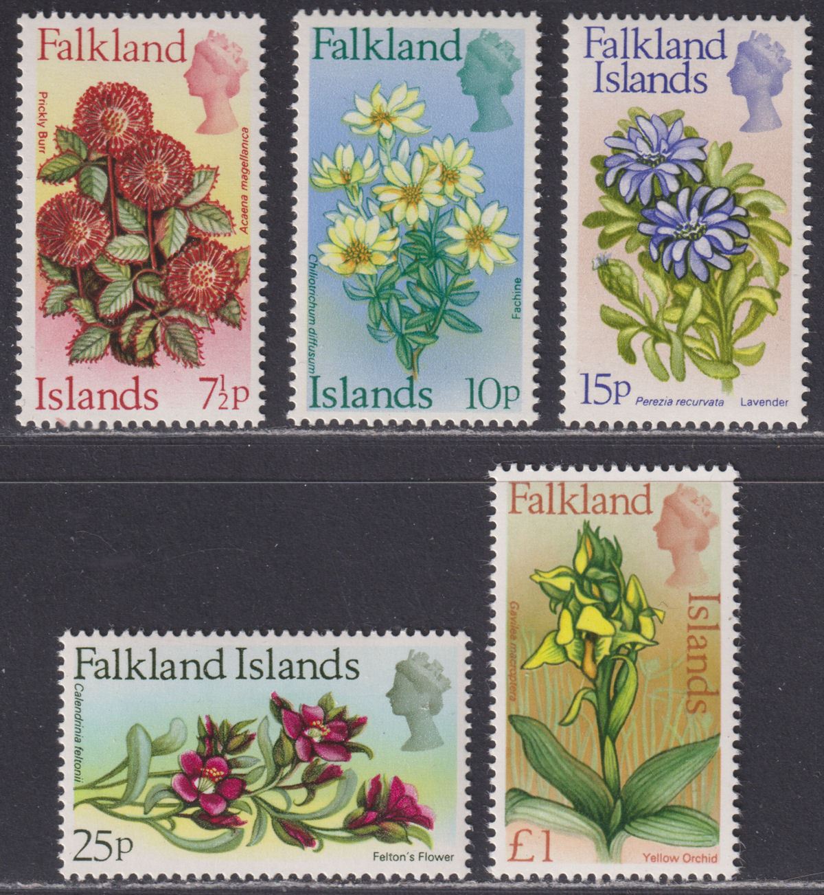 Falkland Islands 1972 QEII Flowers Decimal Part Set to 25p + £1 Mint