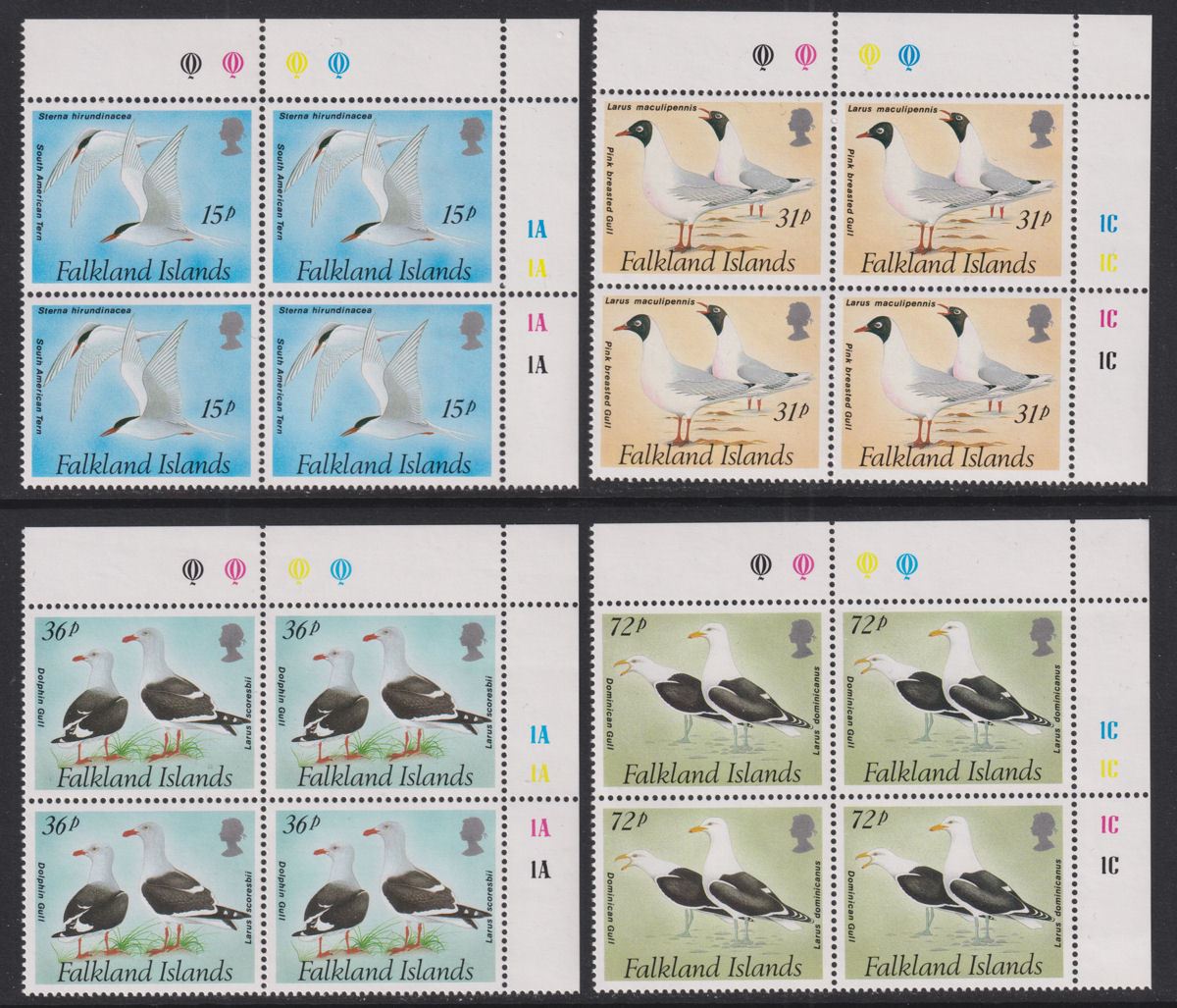Falkland Islands 1993 QEII Gulls and Terns Block Set UM Mint SG671-674 Birds