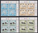 Falkland Islands 1993 QEII Gulls and Terns Block Set UM Mint SG671-674 Birds