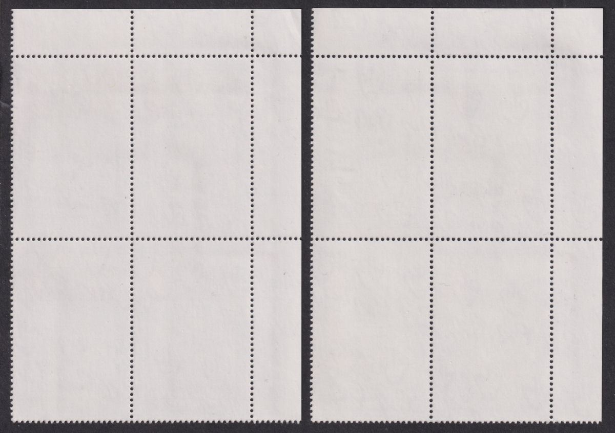 Falkland Islands 1993 QEII SS Great Britain 8p, £1 Plate Blocks Mint SG685-686