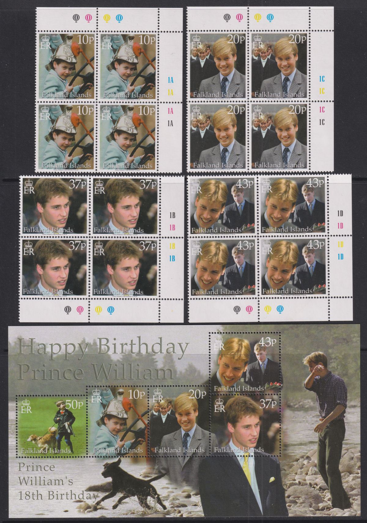 Falkland Islands 2000 Prince William Birthday Block Set + MS UM Mint SG876-MS880